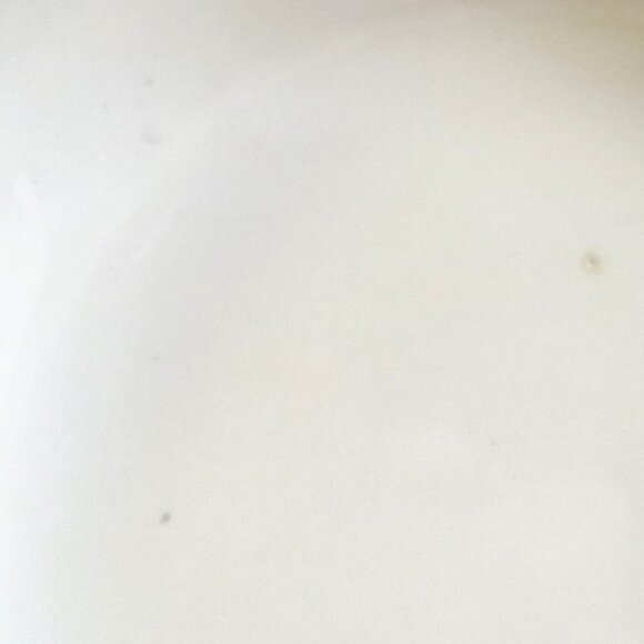 Large Pasta Serving Bowl Aurora 15.25" Fruit Decor Made in Italy - Picture 9 of 11